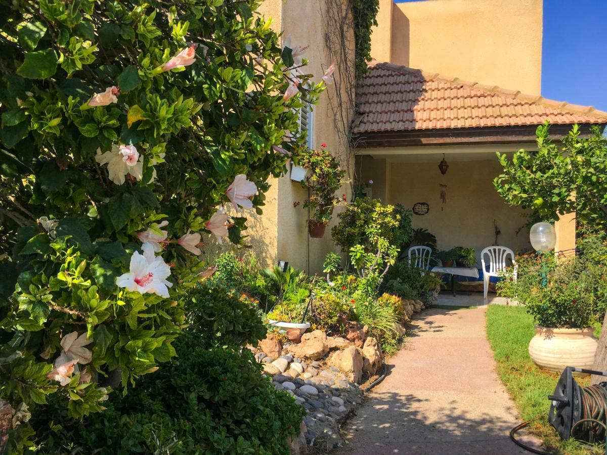 Rio Desert View Apartment Arad Exterior foto